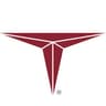 Triumph Group